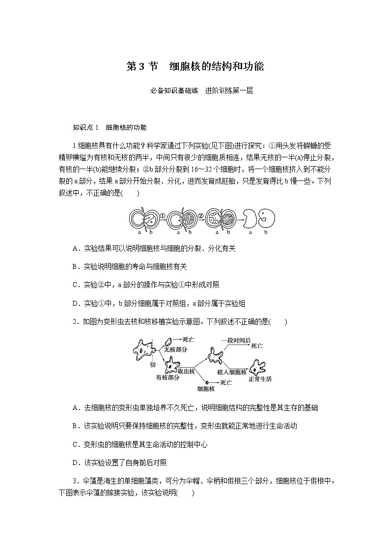 人教版高中生物必修一细胞核的结构和功能作业含答案01