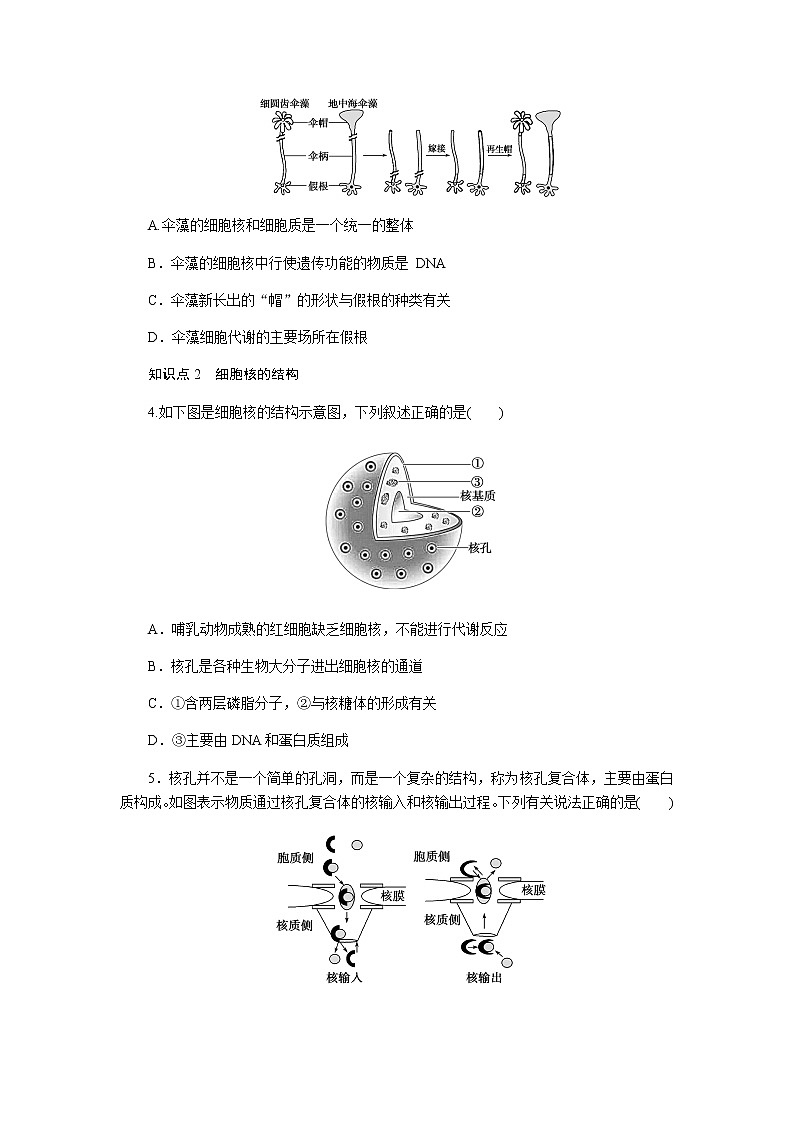 人教版高中生物必修一细胞核的结构和功能作业含答案02