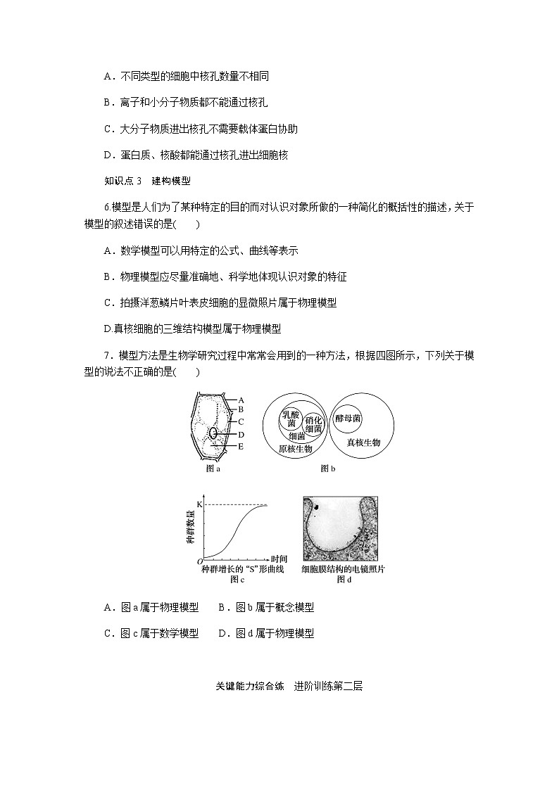 人教版高中生物必修一细胞核的结构和功能作业含答案03