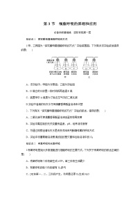 高中生物人教版 (2019)必修1《分子与细胞》第3节 细胞呼吸的原理和应用课时练习