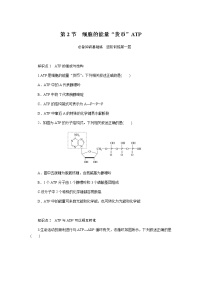 必修1《分子与细胞》第2节 细胞的能量“货币”ATP课堂检测