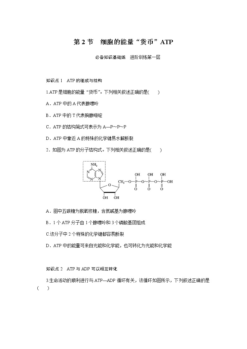人教版高中生物必修一细胞的能量“货币”ATP作业含答案第1页