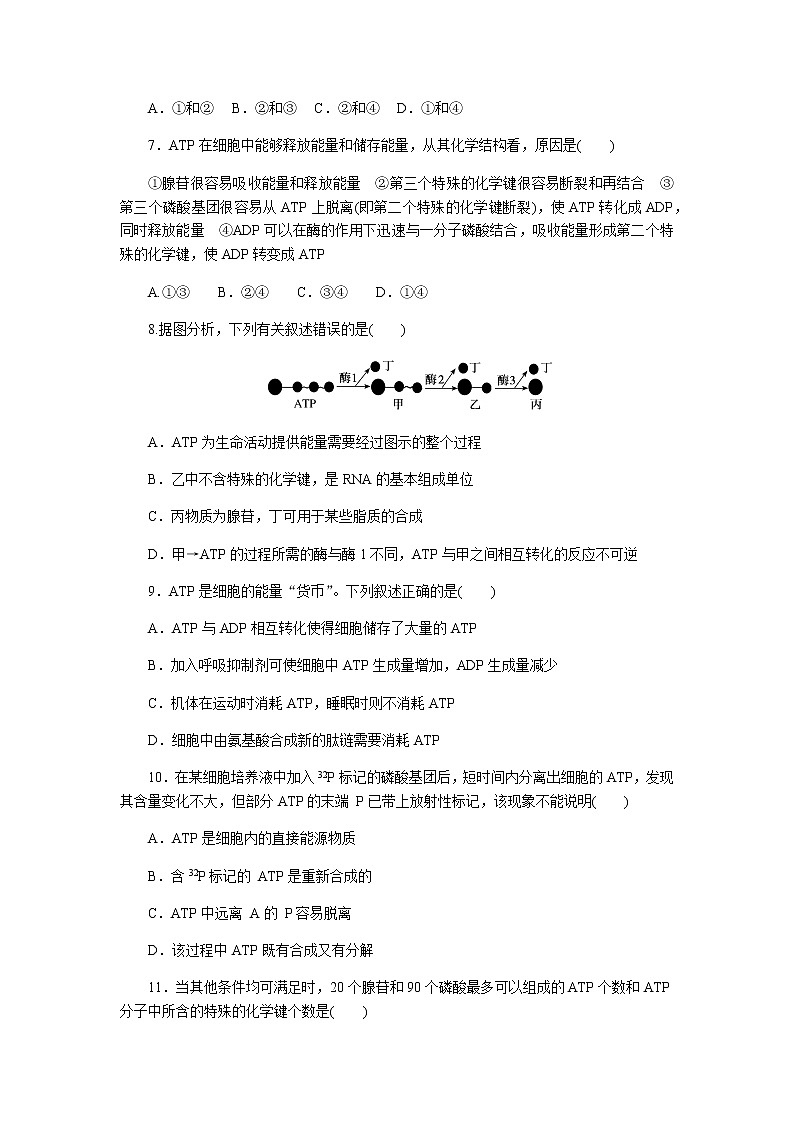 人教版高中生物必修一细胞的能量“货币”ATP作业含答案第3页