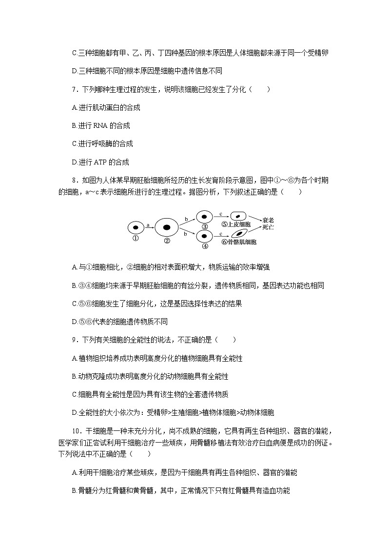 人教版高中生物必修一细胞的分化作业含答案03