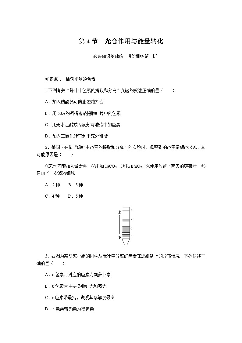 人教版高中生物必修一光合作用与能量转化作业含答案第1页