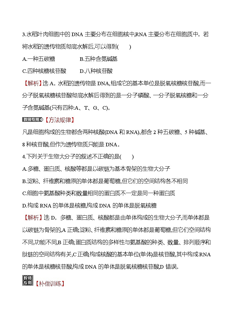 人教版高中生物必修一核酸是遗传信息的携带者作业含答案02