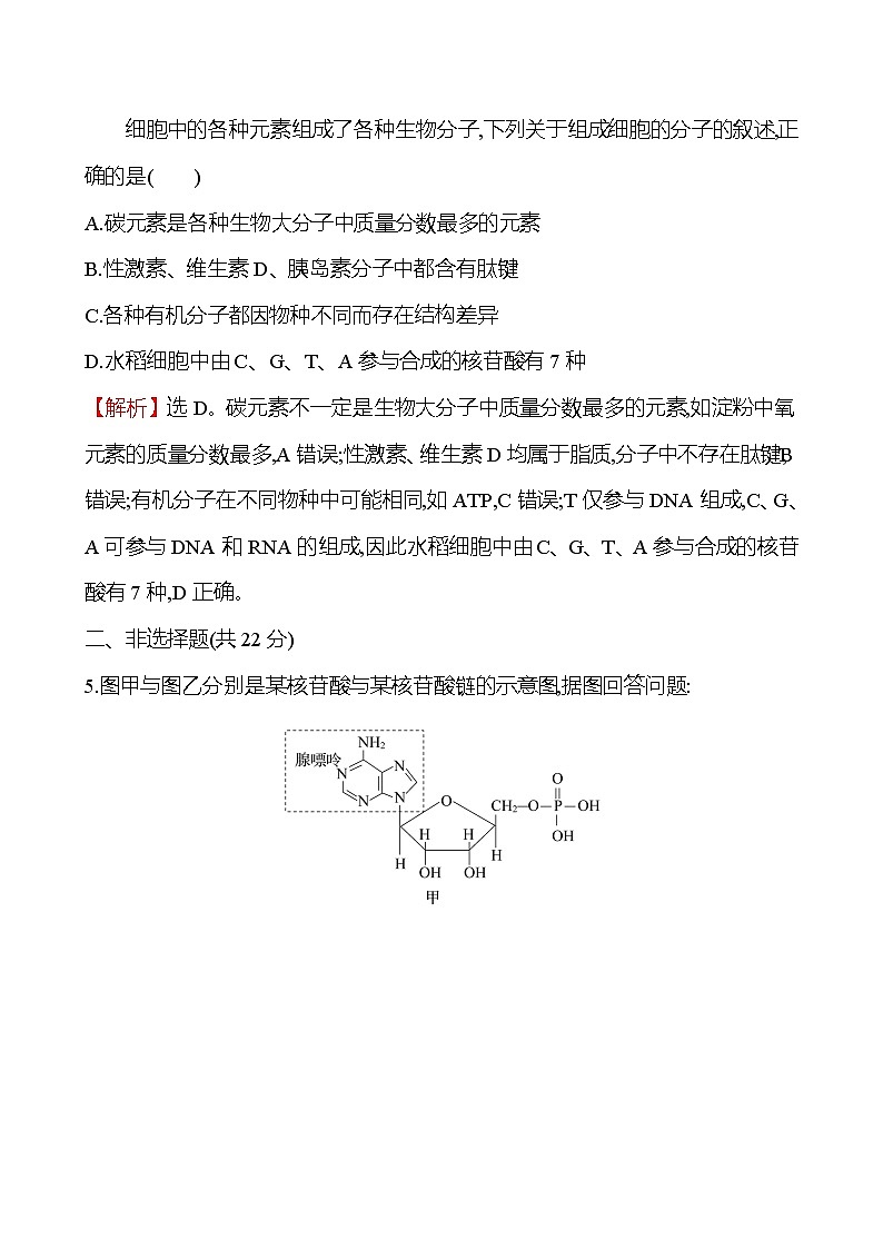 人教版高中生物必修一核酸是遗传信息的携带者作业含答案03