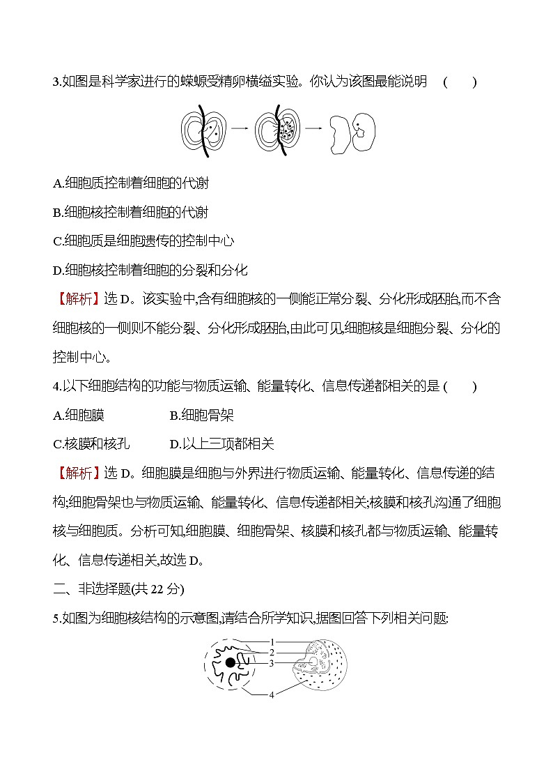 人教版高中生物必修一细胞核的结构和功能作业含答案02