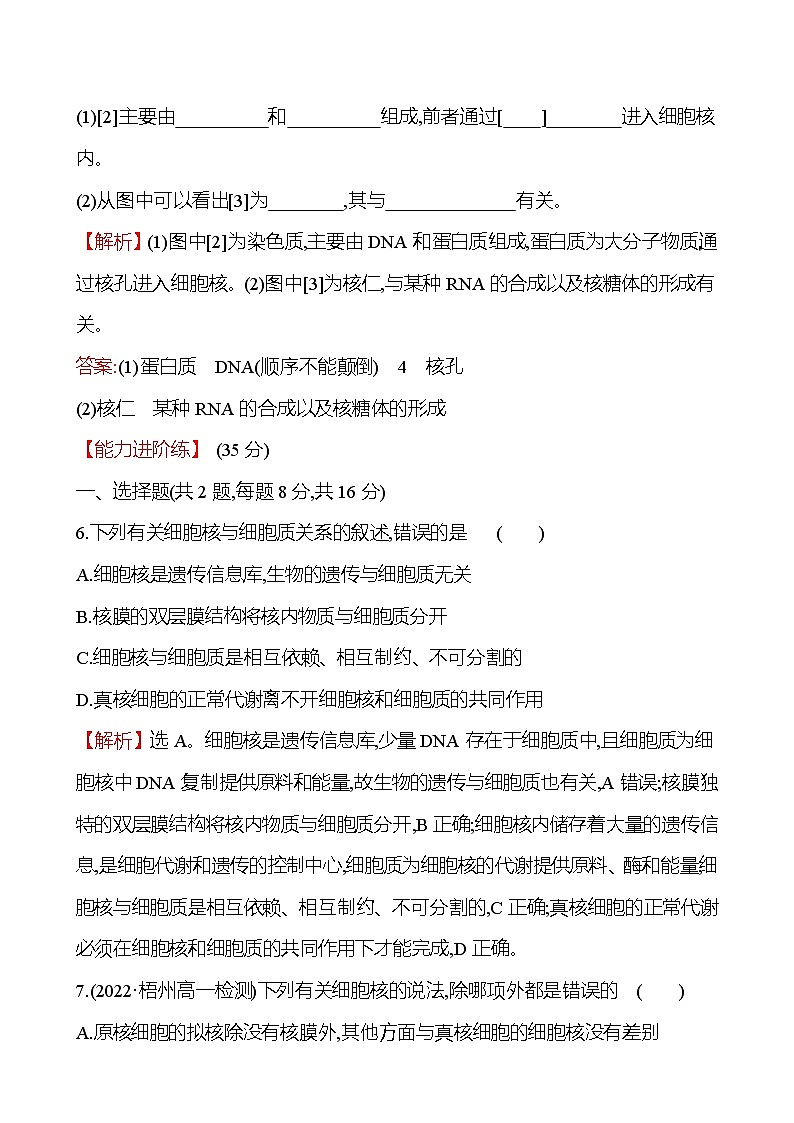 人教版高中生物必修一细胞核的结构和功能作业含答案03