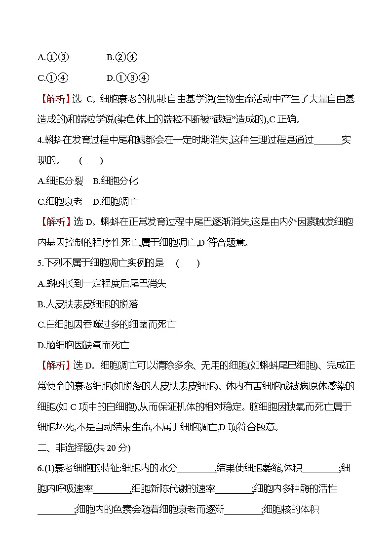 人教版高中生物必修一细胞的衰老和死亡作业含答案第2页