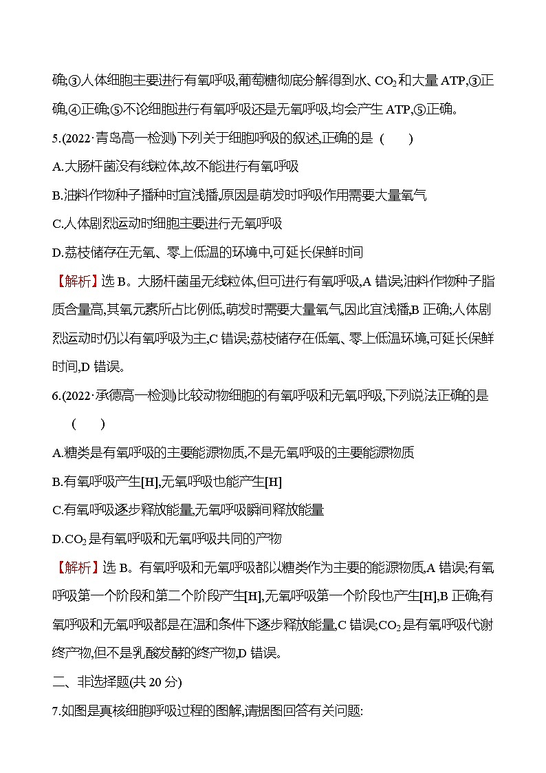人教版高中生物必修一无氧呼吸和细胞呼吸原理的应用作业含答案03