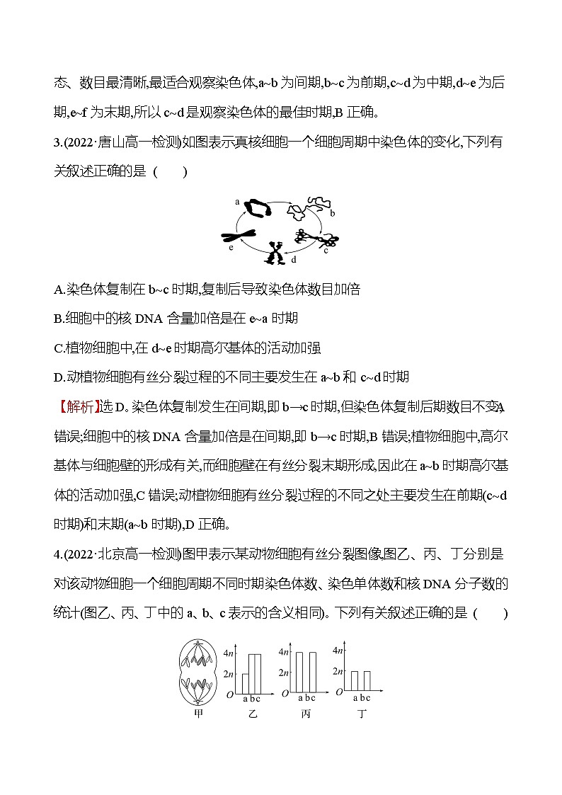 人教版高中生物必修一微专题强化练（四）细胞周期和有丝分裂作业含答案第2页