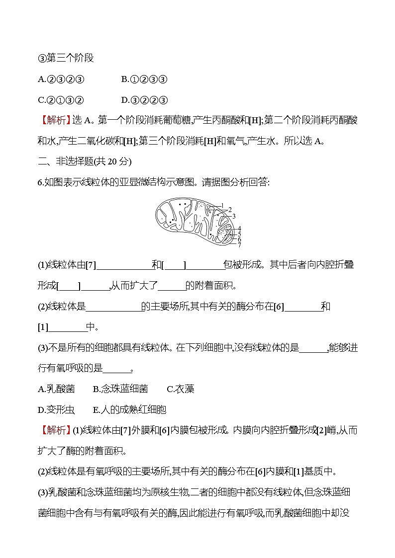 人教版高中生物必修一探究酵母菌细胞呼吸的方式和有氧呼吸作业含答案03