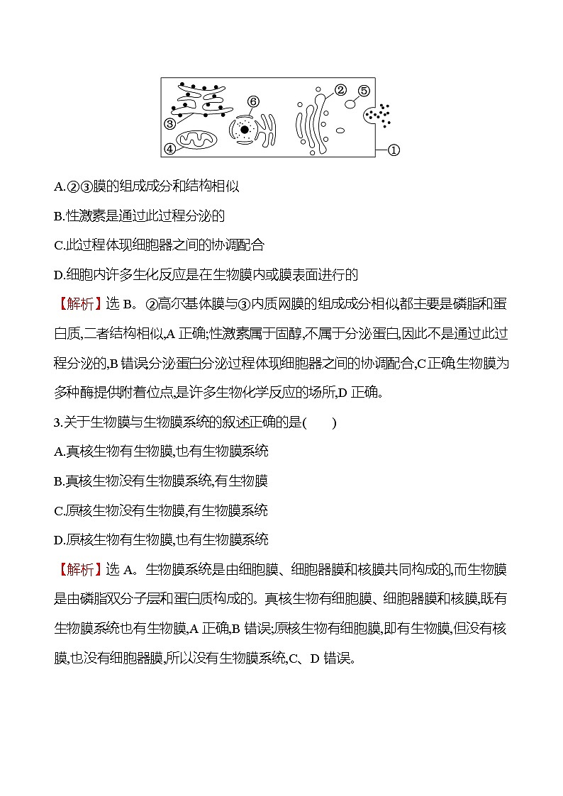 人教版高中生物必修一细胞器之间的协调配合和细胞的生物膜系统作业含答案02