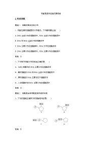 高中生物人教版 (2019)必修1《分子与细胞》第5节 核酸是遗传信息的携带者同步达标检测题