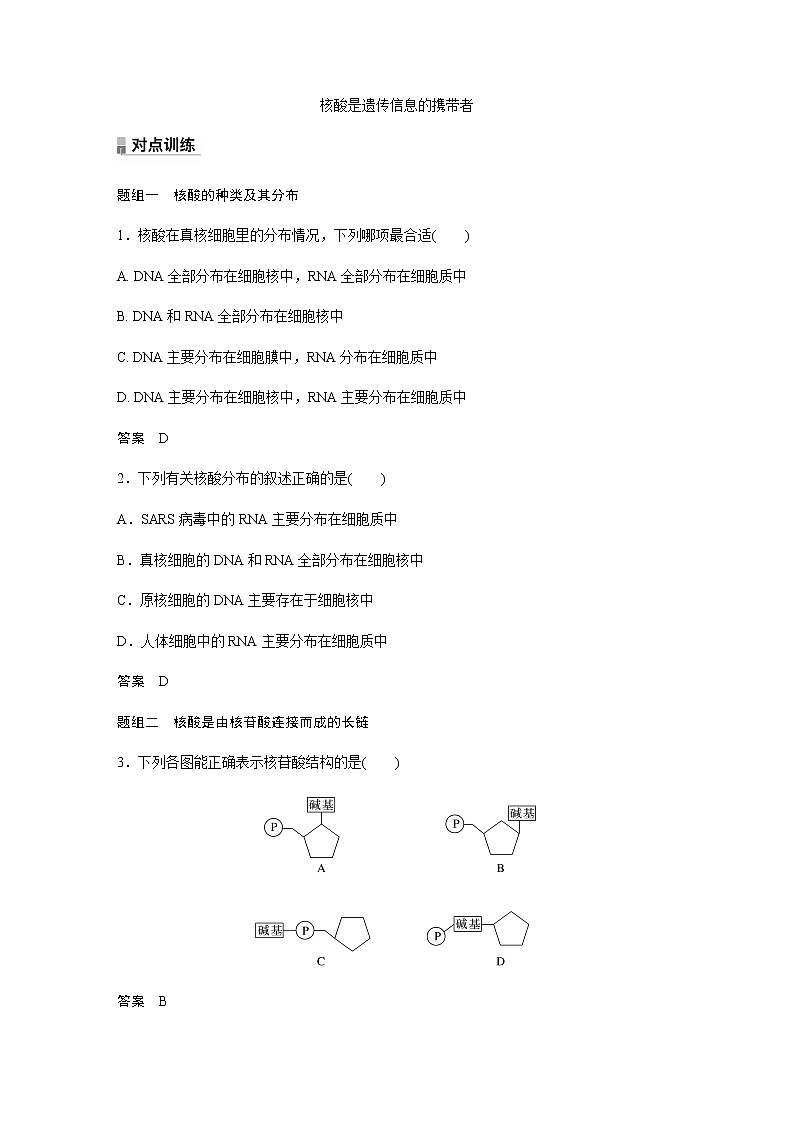 人教版高中生物必修一核酸是遗传信息的携带者作业含答案01