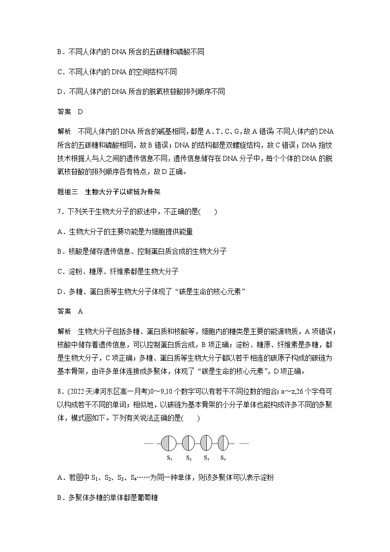 人教版高中生物必修一核酸是遗传信息的携带者作业含答案03