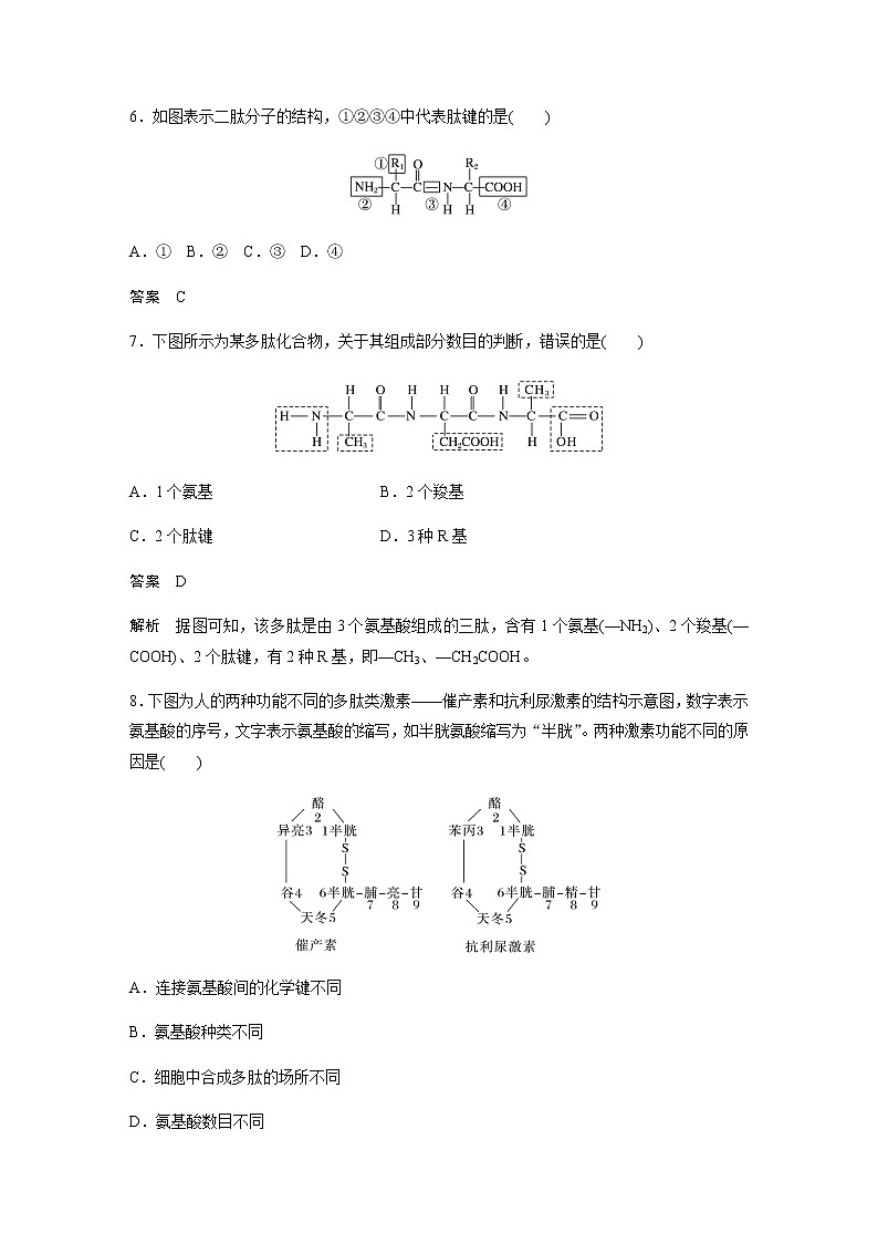 人教版高中生物必修一蛋白质是生命活动的主要承担者作业含答案第3页