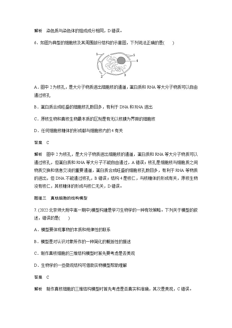 人教版高中生物必修一细胞核的结构和功能作业含答案第3页