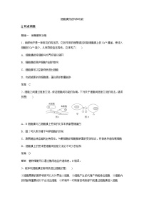 人教版 (2019)必修1《分子与细胞》第1节 细胞膜的结构和功能习题