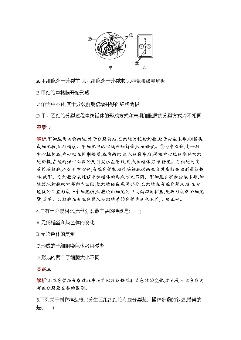 人教版高中生物必修一动物细胞的增殖及观察根尖分生区组织细胞的有丝分裂作业含答案第2页