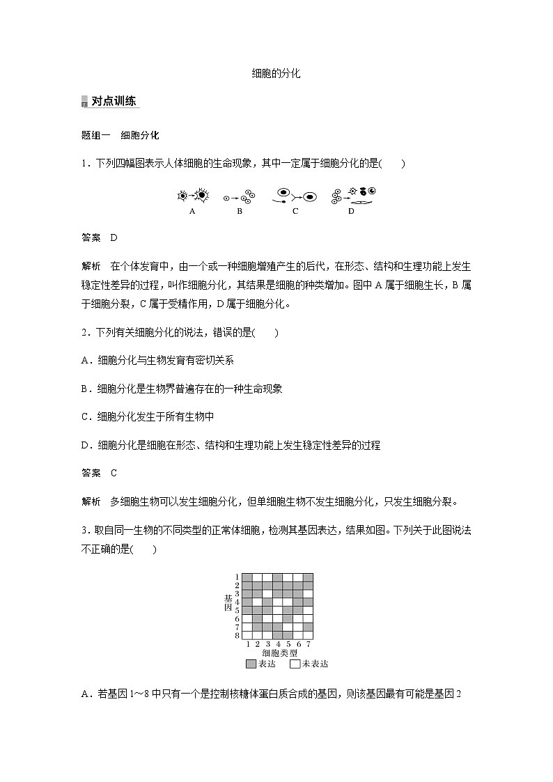 人教版高中生物必修一细胞的分化作业含答案第1页