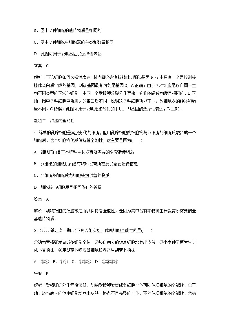 人教版高中生物必修一细胞的分化作业含答案第2页