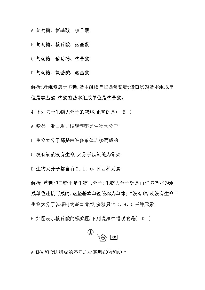 人教版（2019）高中生物必修一第2章第5节核酸是遗传信息的携带者作业含答案02