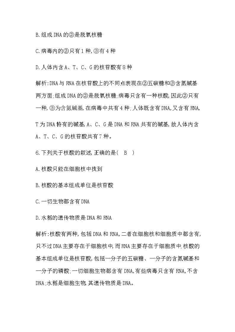 人教版（2019）高中生物必修一第2章第5节核酸是遗传信息的携带者作业含答案03