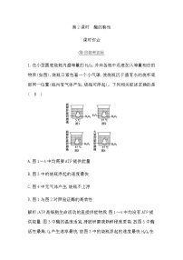 人教版 (2019)必修1《分子与细胞》第5章 细胞的能量供应和利用第1节 降低化学反应活化能的酶二 酶的特性第2课时测试题