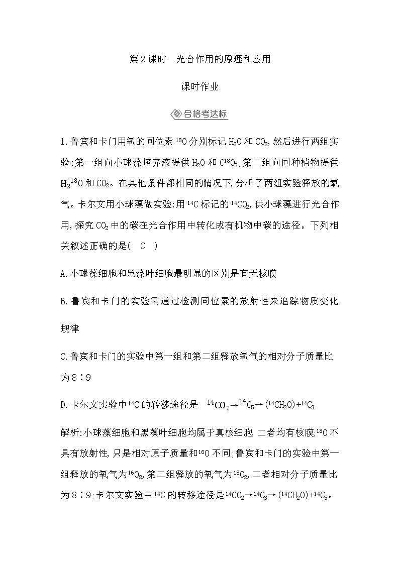 人教版（2019）高中生物必修一第5章第4节光合作用与能量转化第2课时光合作用的原理和应用作业含答案第1页
