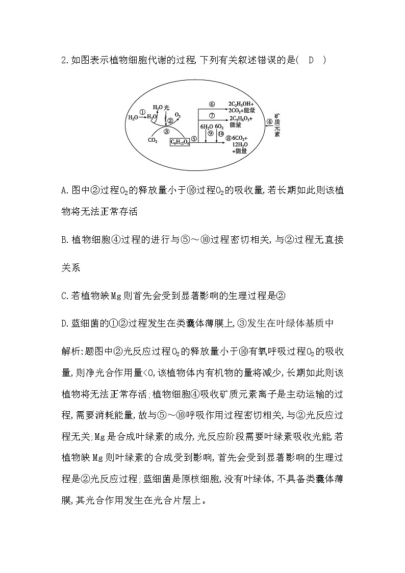 人教版（2019）高中生物必修一第5章第4节光合作用与能量转化第2课时光合作用的原理和应用作业含答案第2页
