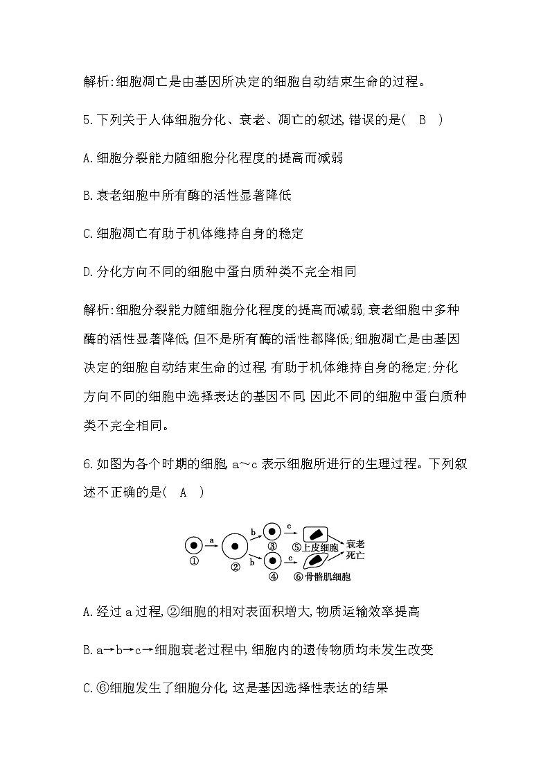 人教版（2019）高中生物必修一第6章第3节细胞的衰老和死亡作业含答案03