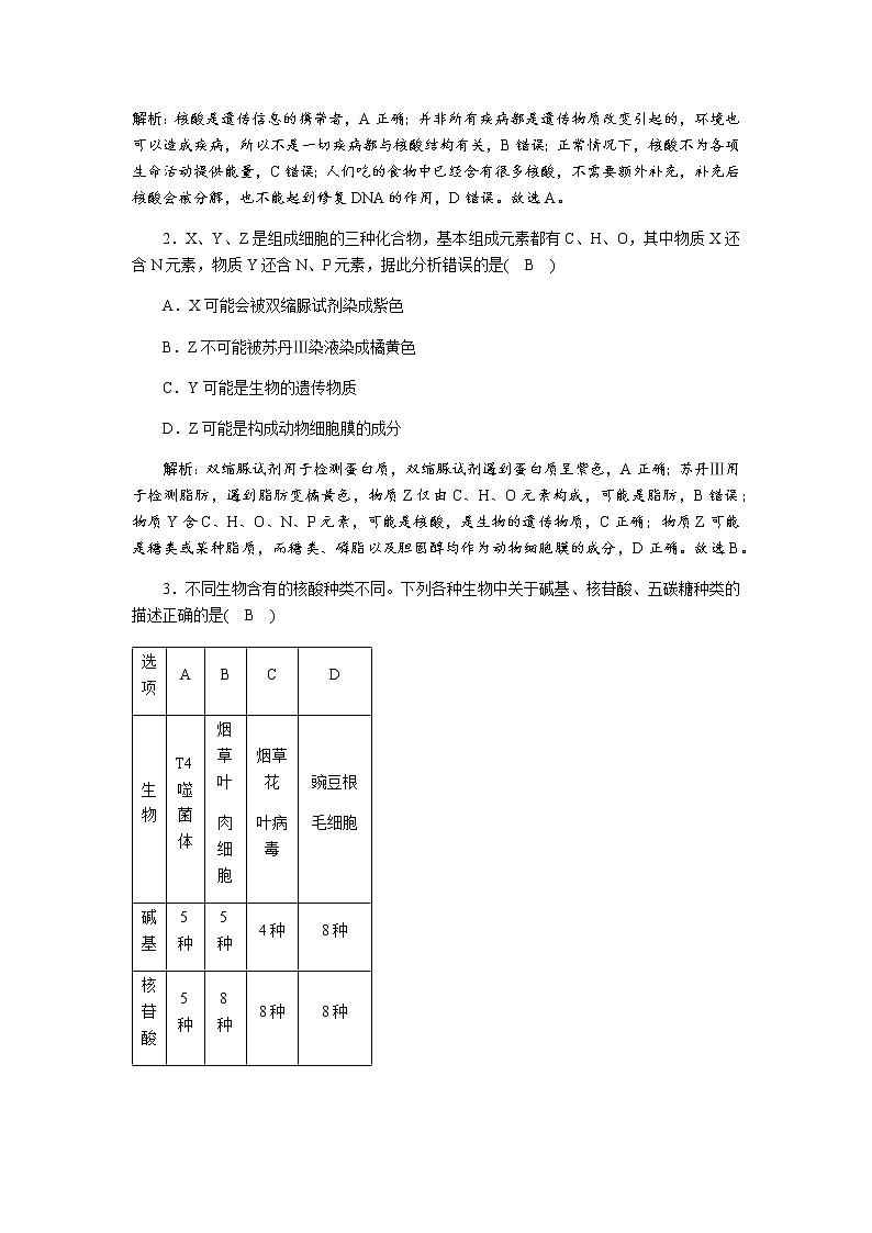 人教版（2019）高中生物必修1核酸是遗传信息的携带者作业含答案02