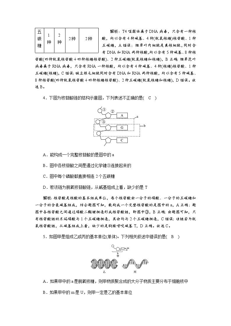 人教版（2019）高中生物必修1核酸是遗传信息的携带者作业含答案03