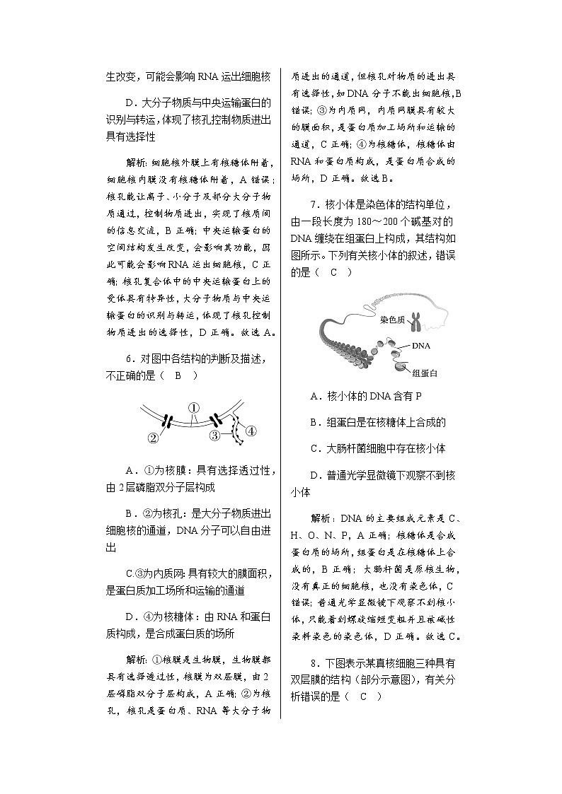 人教版高中生物必修1细胞核的结构和功能作业含答案第3页