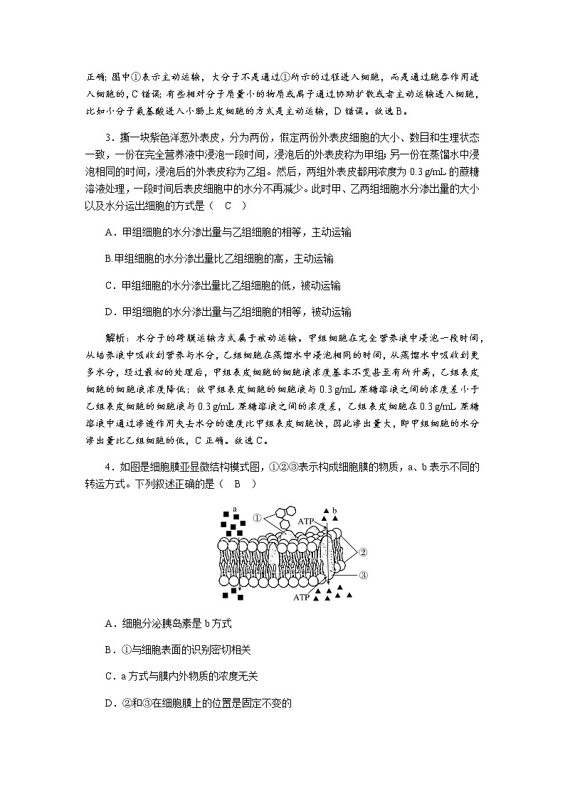 人教版高中生物必修1主动运输与胞吞、胞吐作业含答案03