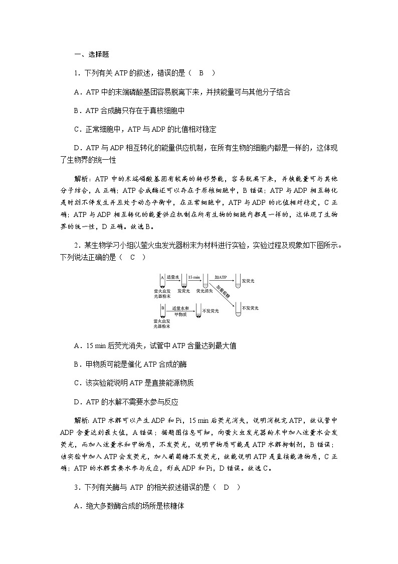 人教版高中生物必修1细胞的能量“货币”ATP作业含答案第2页