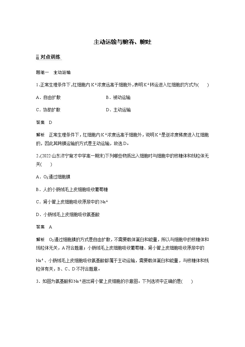 人教版（2019）高中生物必修一主动运输与胞吞、胞吐 作业含答案第1页