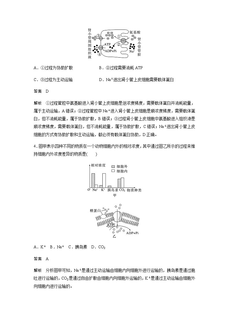 人教版（2019）高中生物必修一主动运输与胞吞、胞吐 作业含答案第2页