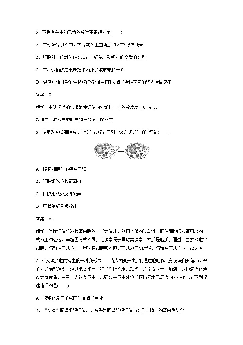 人教版（2019）高中生物必修一主动运输与胞吞、胞吐 作业含答案第3页