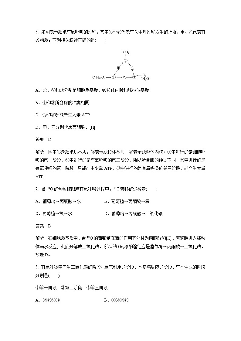 人教版高中生物必修一细胞呼吸的方式和有氧呼吸作业含答案03