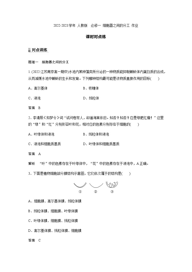人教版高中生物必修一细胞器之间的分工作业含答案第1页