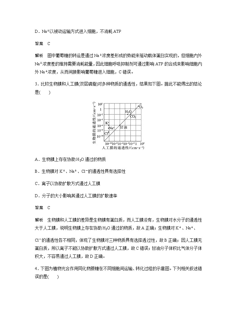 人教版高中生物必修一细胞的物质输入和输出重点突破训练作业含答案第2页