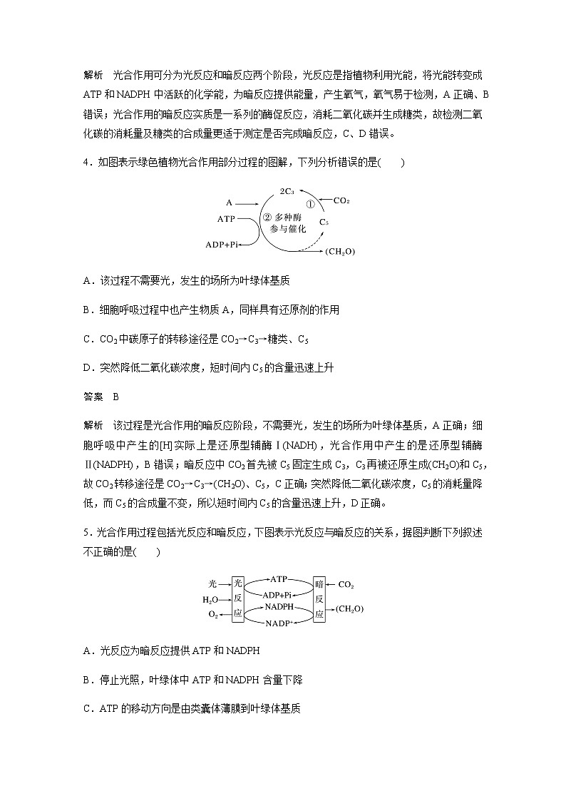 人教版高中生物必修一光合作用的原理作业含答案02