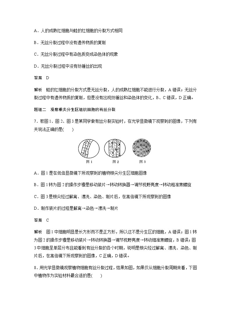人教版高中生物必修一动物细胞的有丝分裂、真核细胞的无丝分裂及观察根尖分生区组织细胞的有丝分裂作业含答案第3页