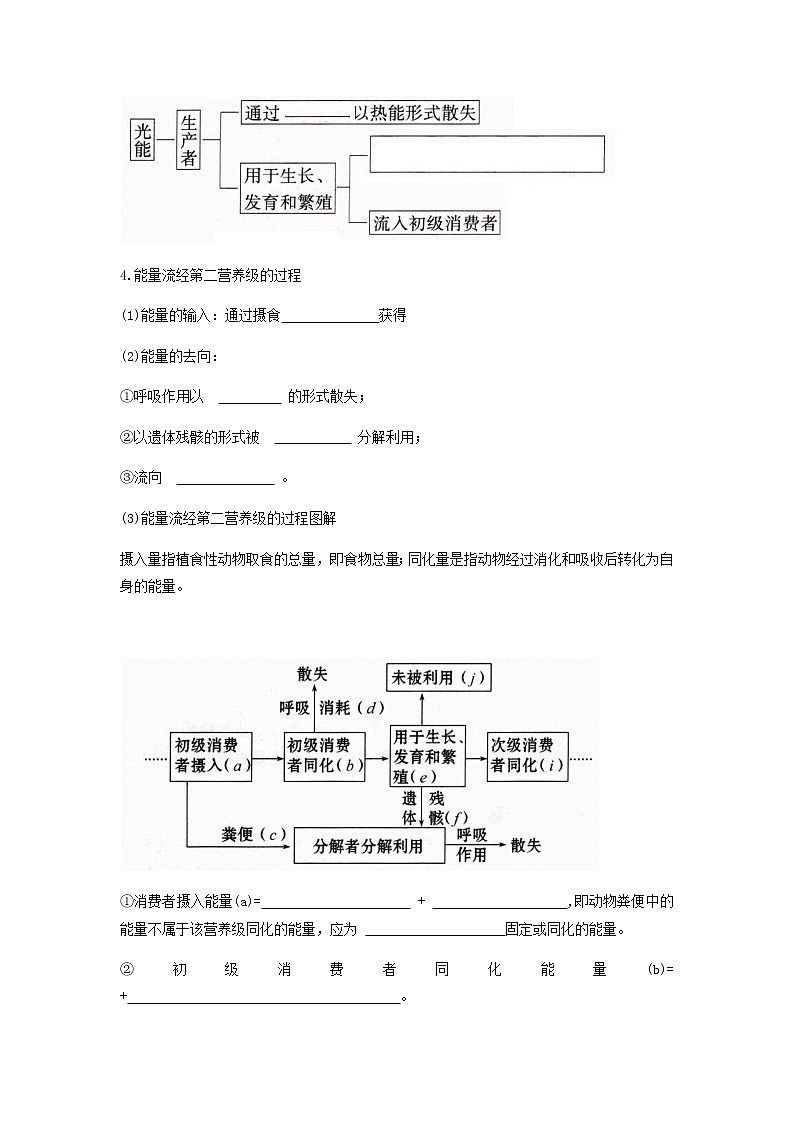 人教版（2019）高中生物选择性必修二3-2 生态系统的能量流动 学案02
