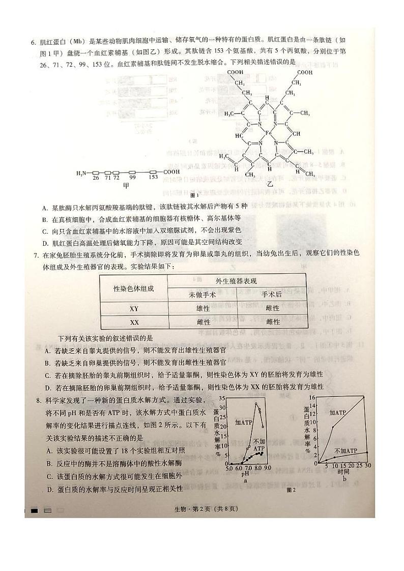 巴蜀中学2023届高考适应性月考卷（六）生物试卷第2页