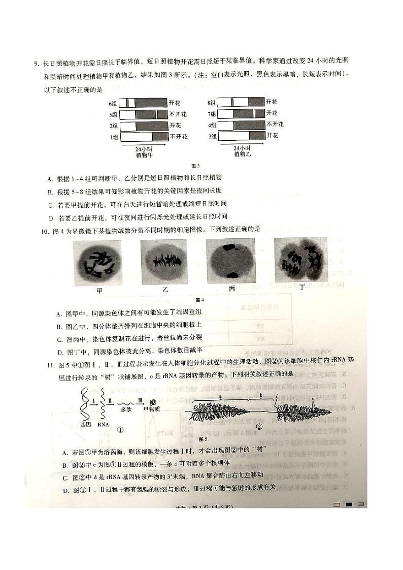 巴蜀中学2023届高考适应性月考卷（六）生物试卷第3页