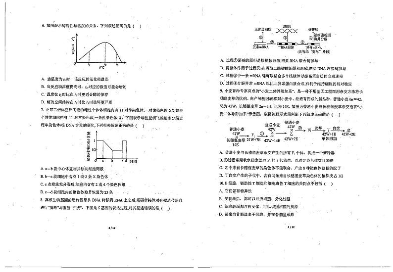 天津市南开中学2022-2023学年高三下学期第四次月考生物试题第2页